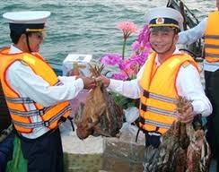 Tet atmosphere on Con Co island - ảnh 1